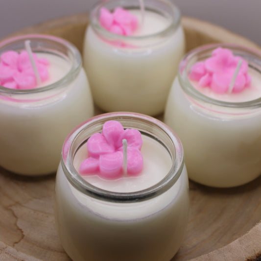 Coconut bloom